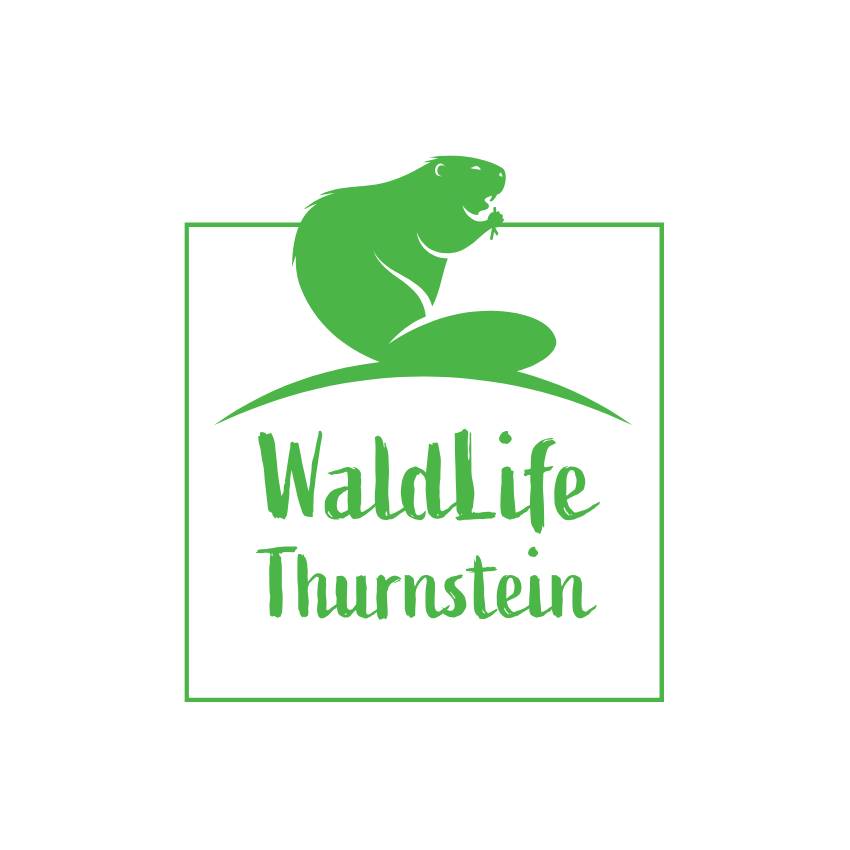 Das Logo von WaldLife Thurnstein.