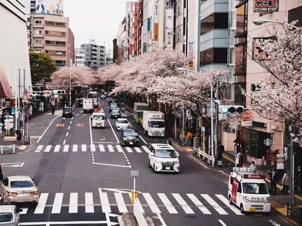 Eine Kreuzung in Tokio mit Kirschblüten.